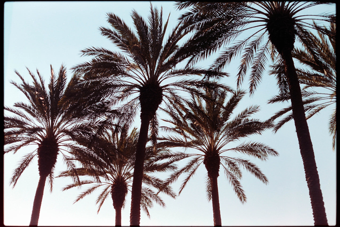 Color Film Developing